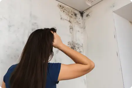 Housing Disrepair
